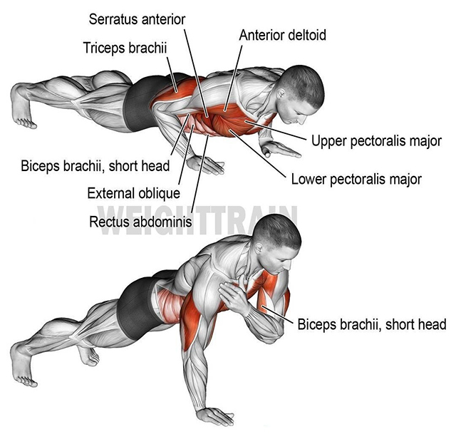 640-Shoulder-tap-push-up.jpg